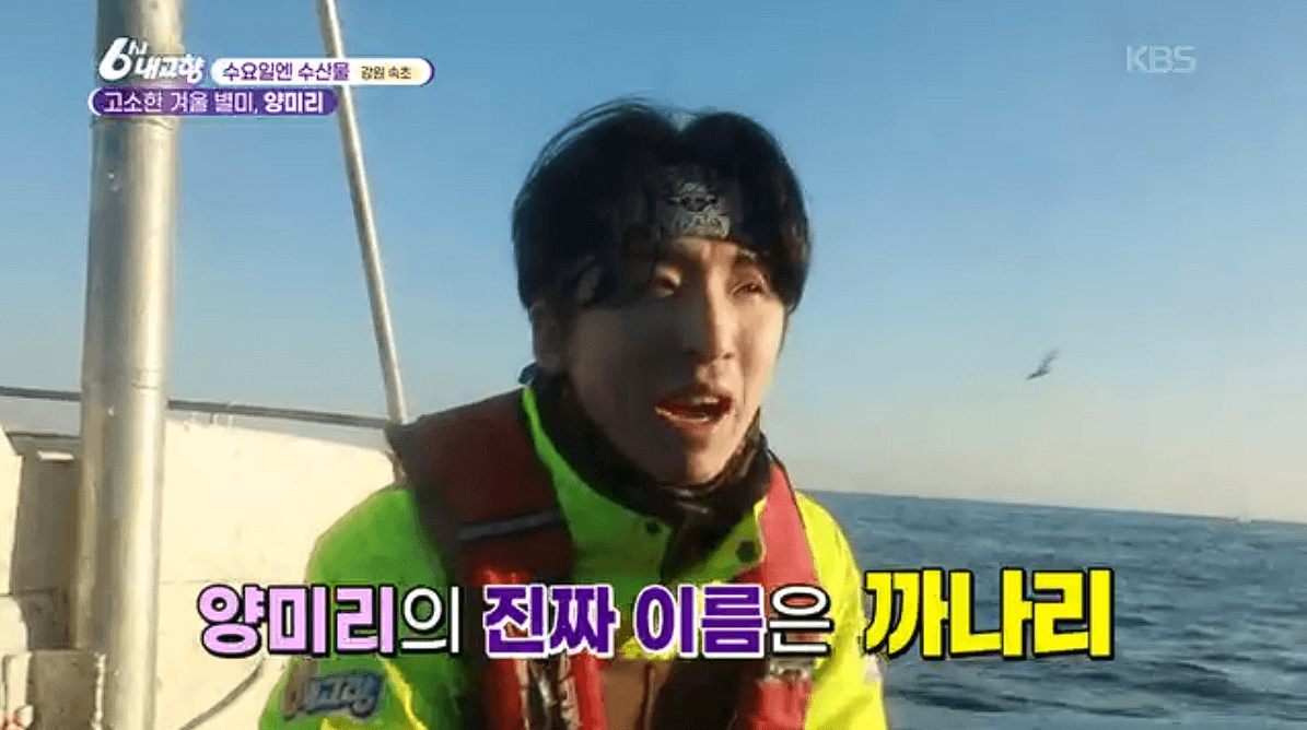 [6시내고향]강원도 속초 양미리 도루묵 오징어 &amp;#39;금성호&amp;#39; 택배 연락처 정보