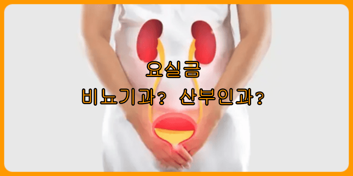 요실금 검사비용