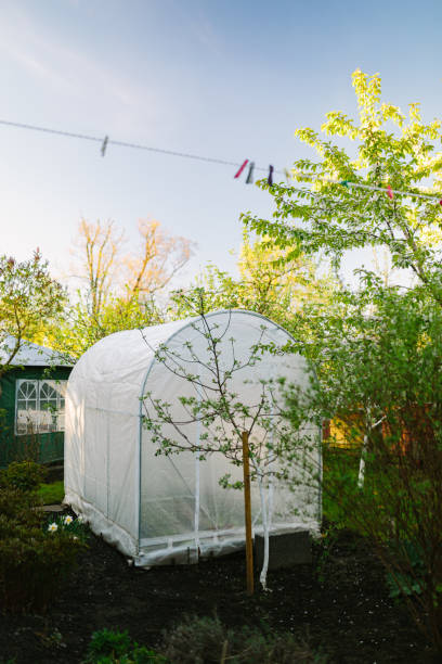 초소형 하우스로 시작하는 채소 재배