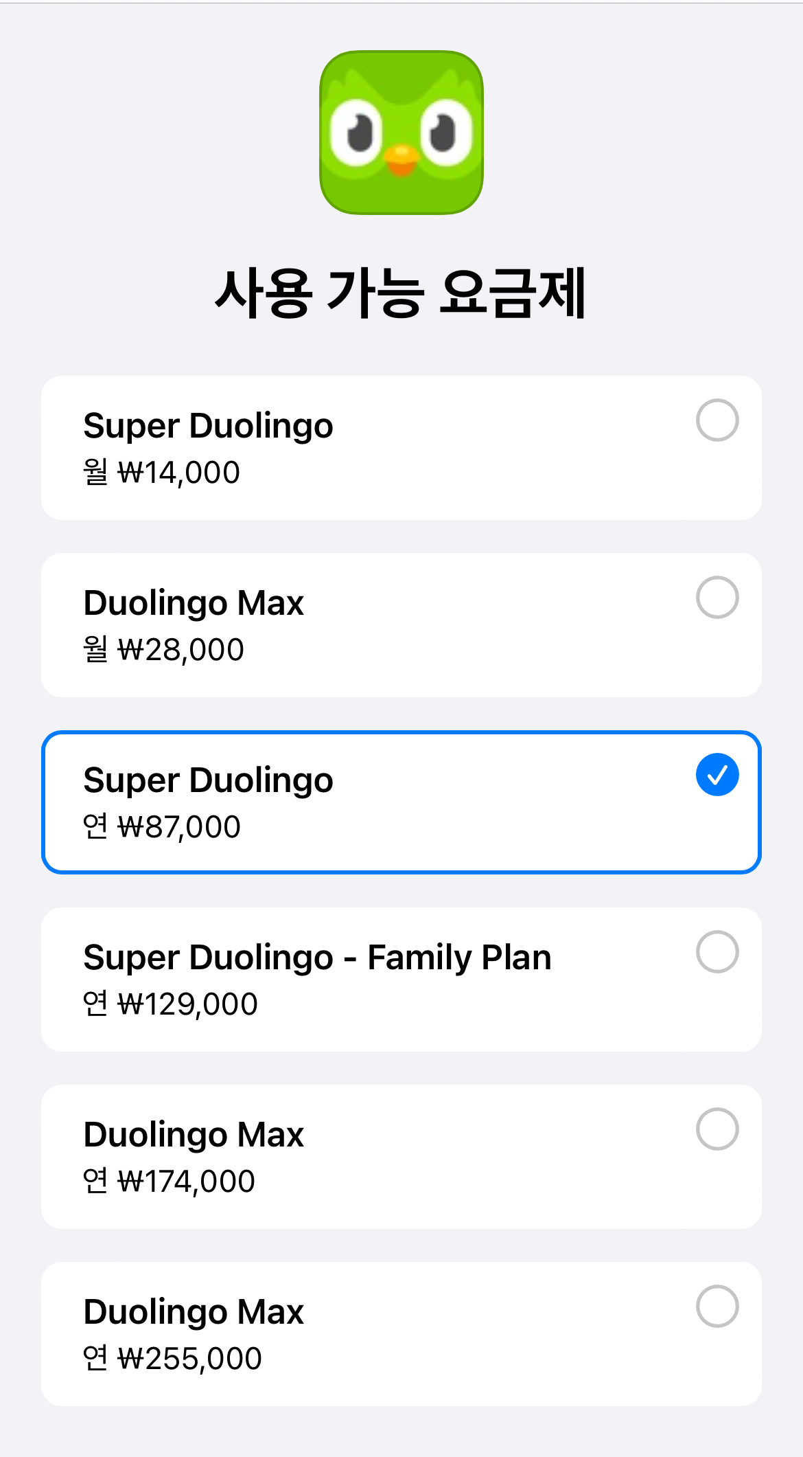 duolingo13