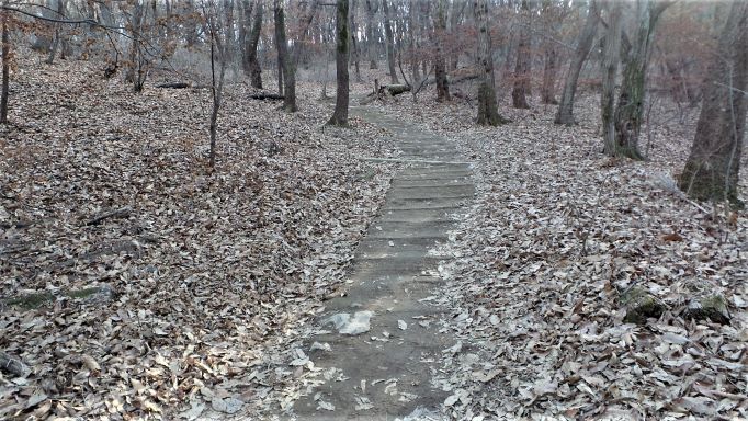 가파른 오르막 침목 계단길&#44; 주변엔 수북한 갈잎&#44;