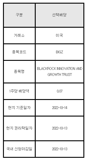 미국주식 선택배당 안내 BIGZ