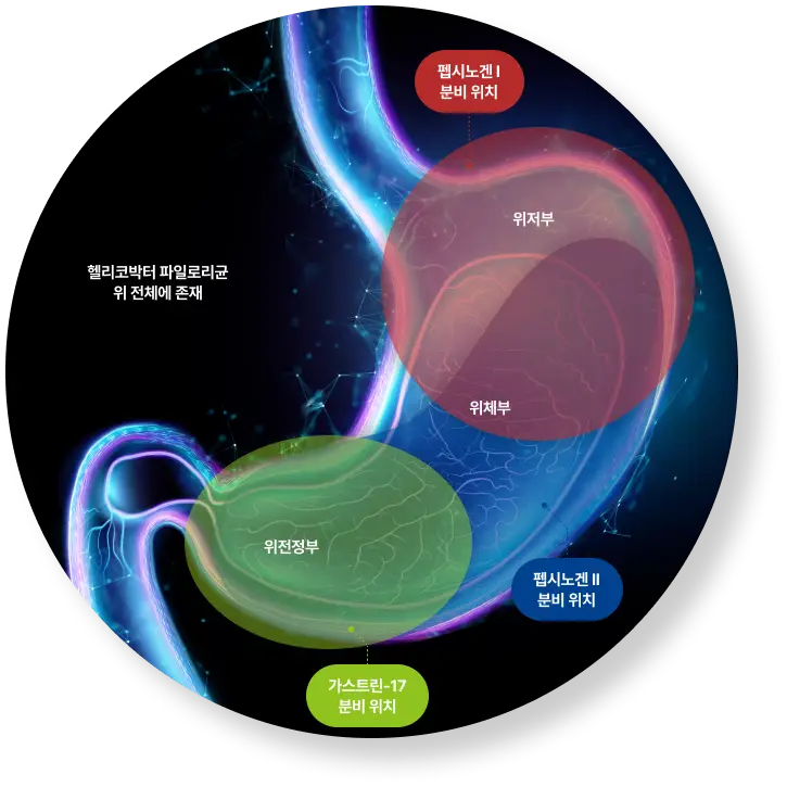 위-바이오마커분비-이미지