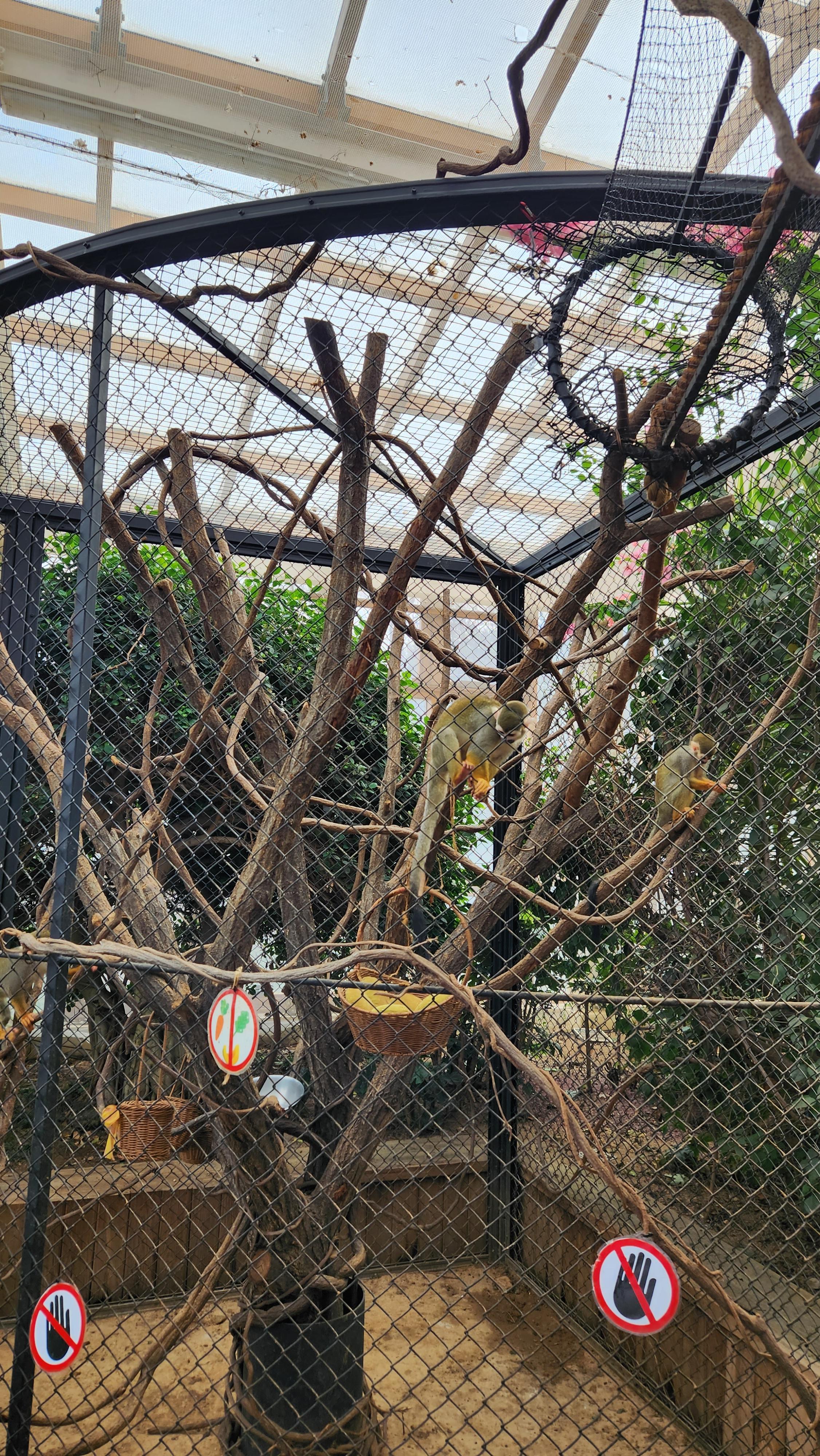 대구-네이처파크