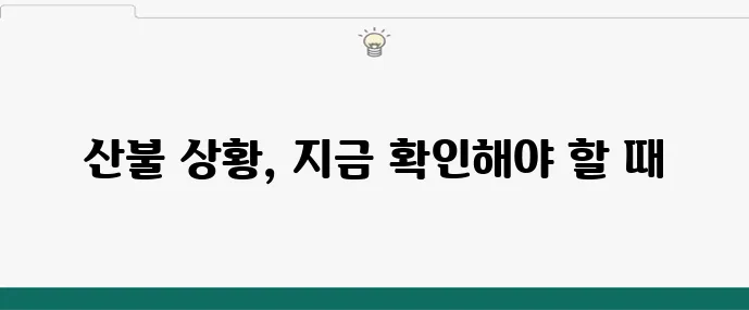 2024 산불지도 최신 업데이트