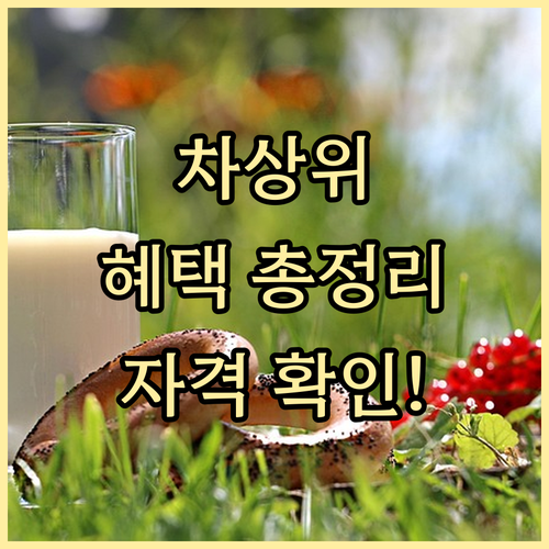 차상위계층을 위한 경기도 지원: 자격..
