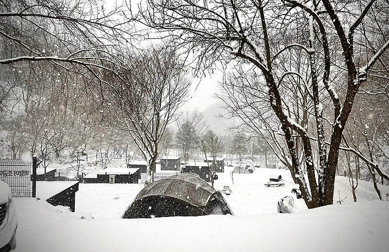 천안 아우내관광농원캠핑장 소개