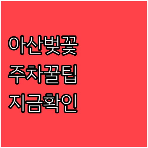 아산시 벚꽃 개화 시기 및 지역별 명..