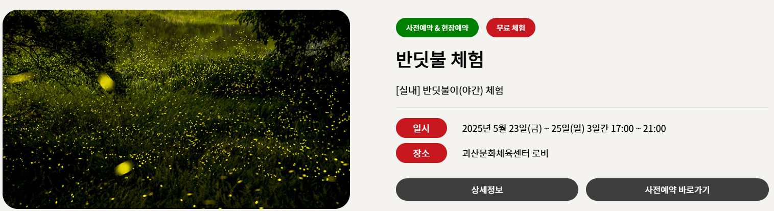 반딧불체험