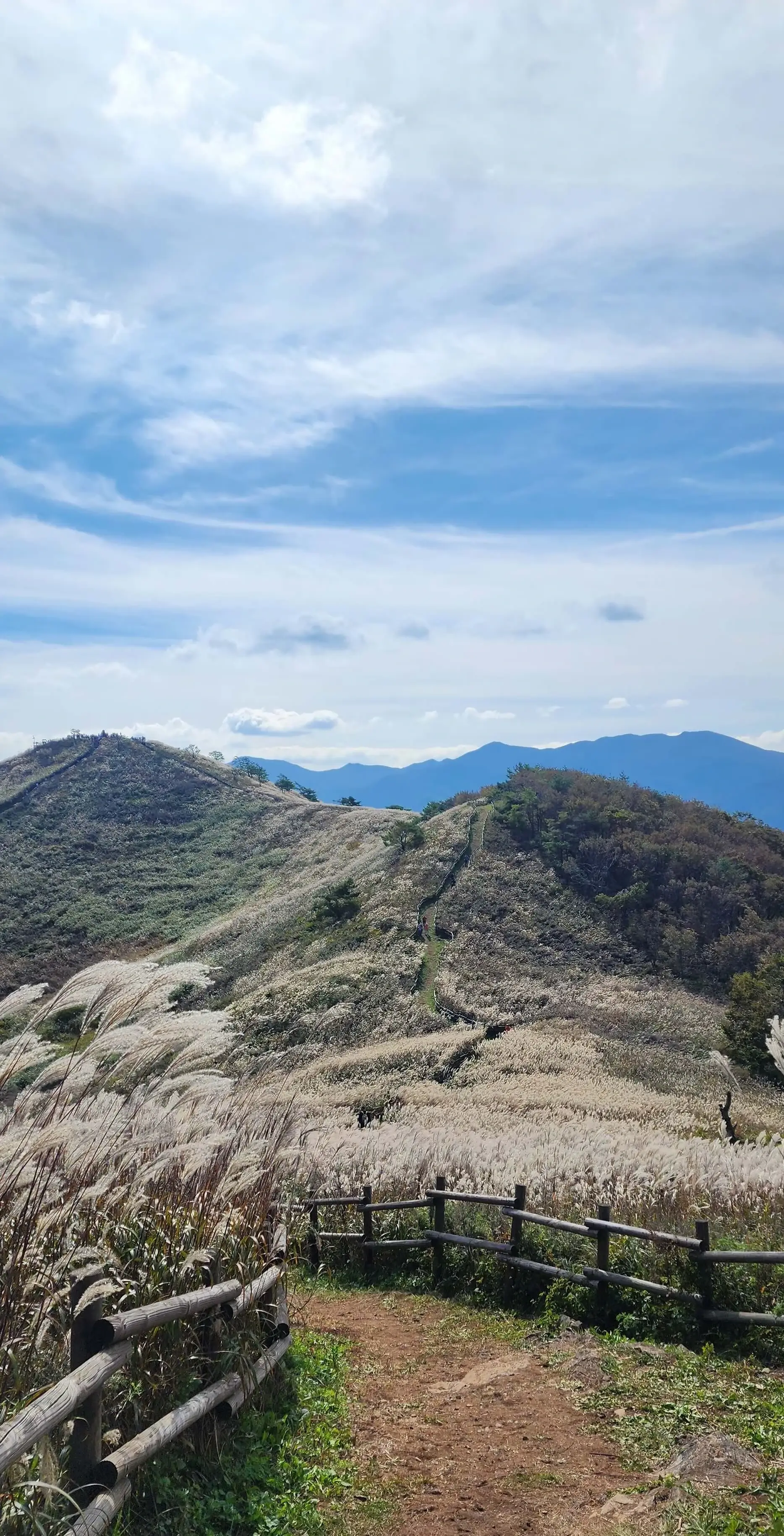 민둥산