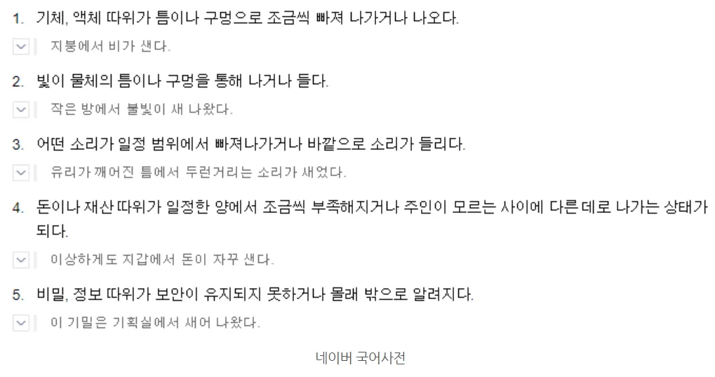 새어나오다 세어나오다 맞춤법 뜻 유래_5