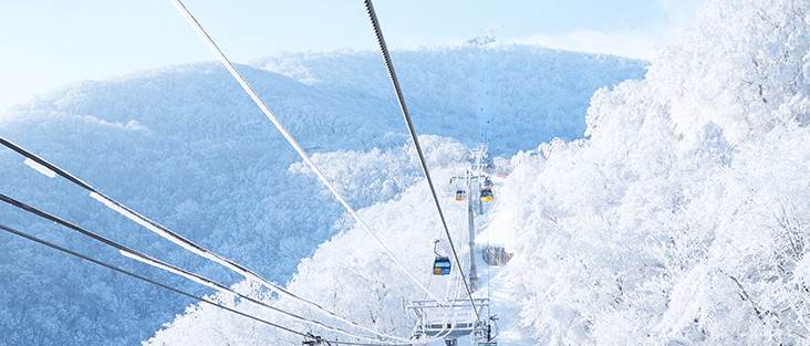 2025-2026 모나용평 스키장 개장일 & 시즌패스