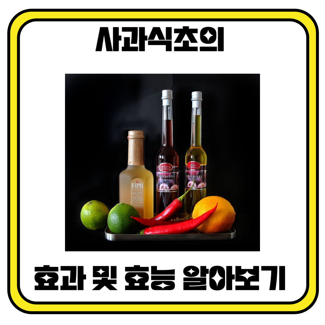 사과식초의 효과 및 효능 알아보기