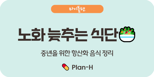 노화 늦추는 음식과 저속노화 식단 완전 가이드