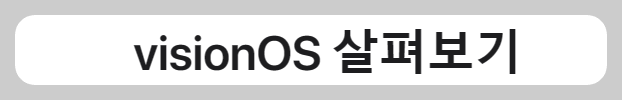 비전프로 살펴보기