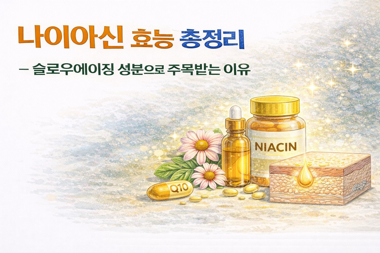 나이아신 효능 총정리: 슬로우에이징 성분으로 주목받는 이유