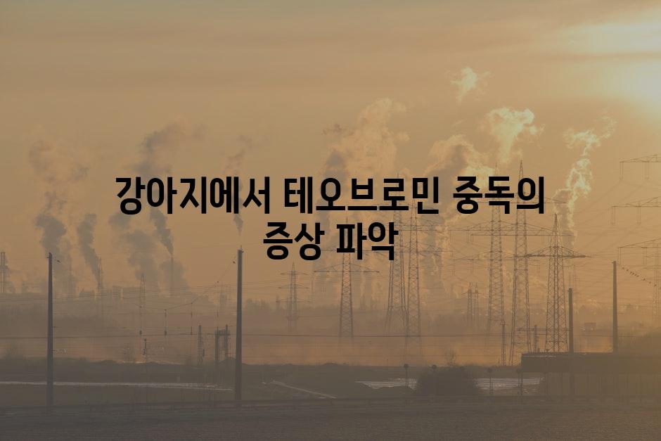 강아지에서 테오브로민 중독의 증상 파악