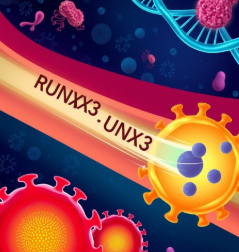 RUNX3 메틸화 해독