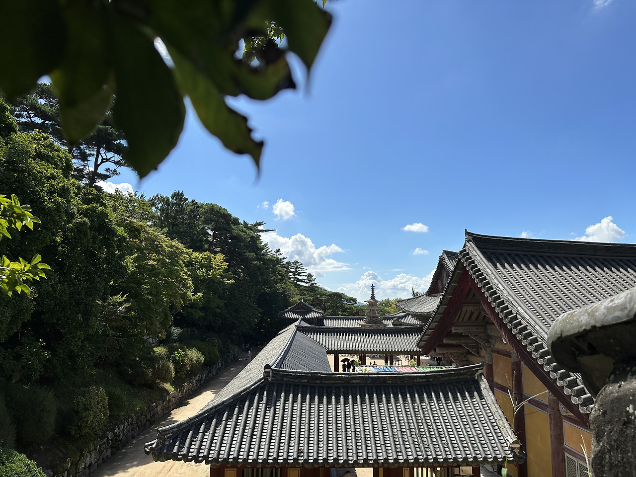 경주 가볼만한 곳 베스트 10 (2025 최신판)