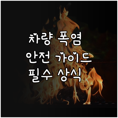 폭염 속 차량 안전 가이드: 온도 상..