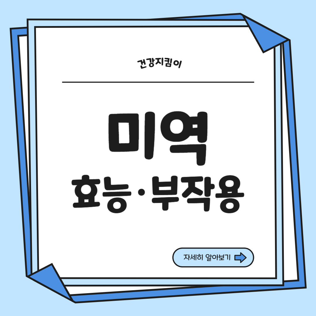 미역 효능 부작용 칼로리