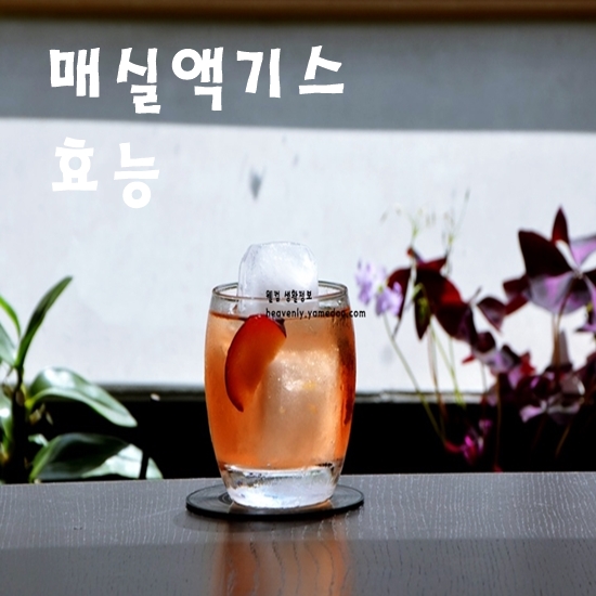 매실액기스 효능