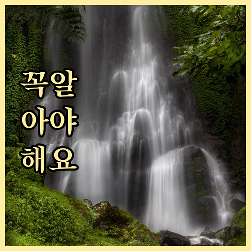 재활용, 음식물, 대형 폐기물, 세교..