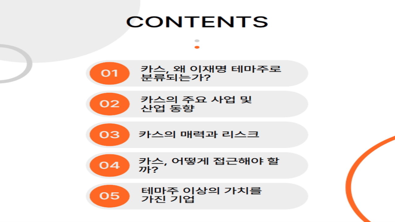 이재명 테마주 카스