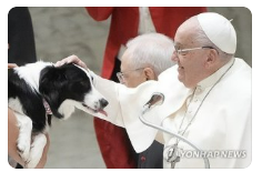 프란치스코 교황 선종