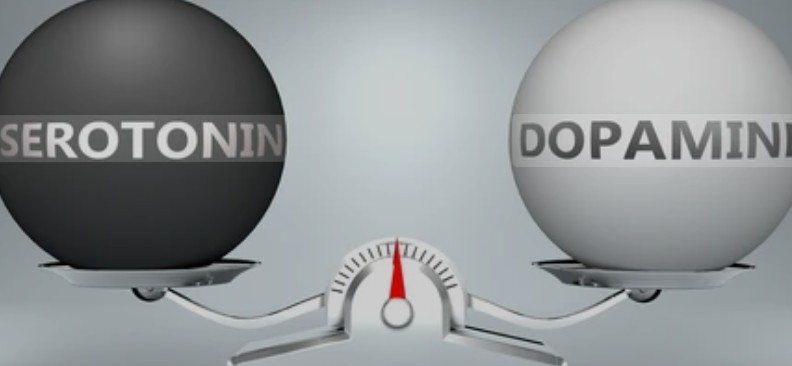 세로토닌과 도파민 이미지
