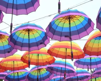 강진청자축제_2