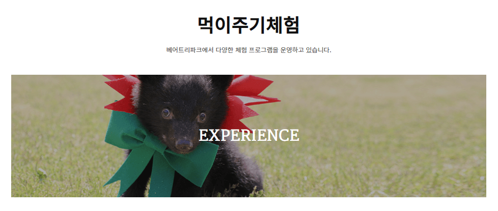 베어트리파크 수목원 입장료 주변맛집
