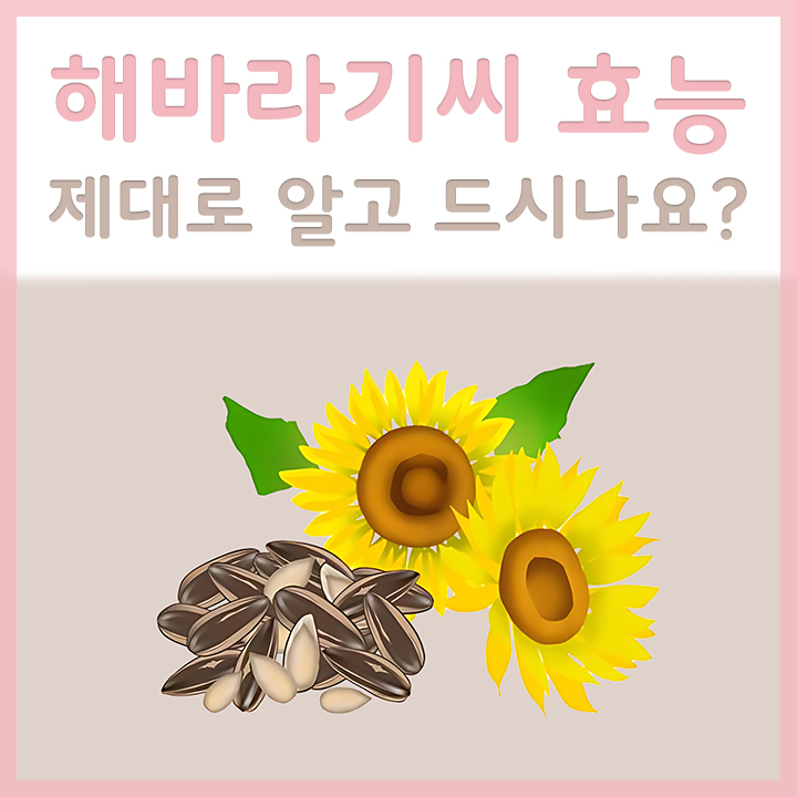 해바라기씨