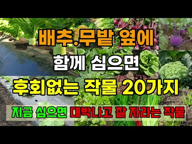 &amp;quot;8월에