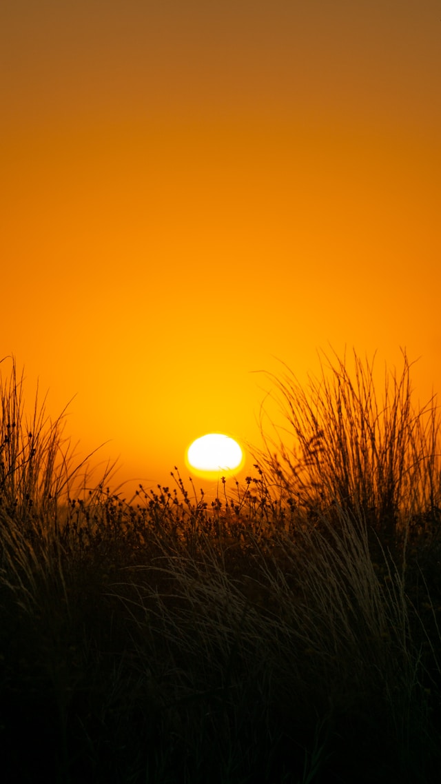 거제도 벨버디어 일출 명소 3곳 완벽 가이드