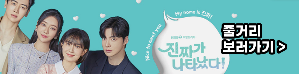 비밀의 여자 줄거리