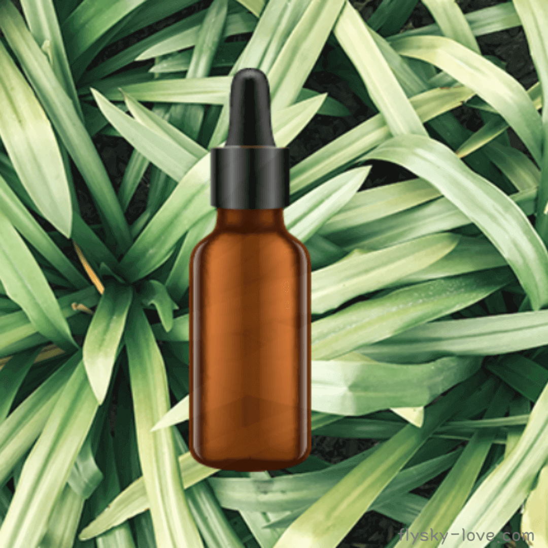 시트로넬라 (Citronella), 시트로넬라 오일