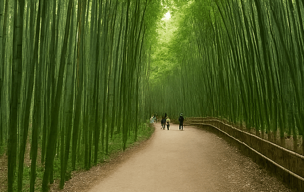 담양 여행 추천 코스와 자연·정원·예술이 어우러진 감성 힐링 여행지
