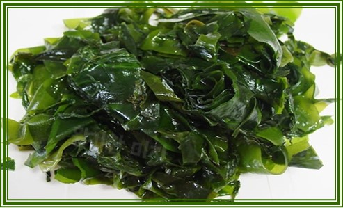 산모 미역 추천 이유