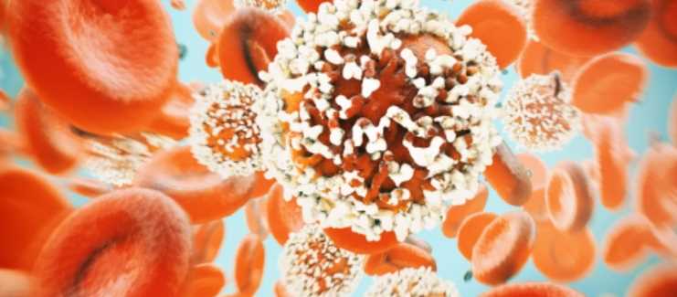 연근 효능 - 항암 효과