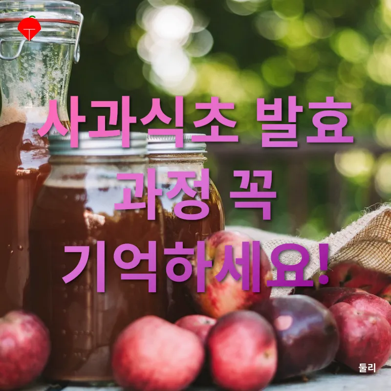 사과식초 만들기_2