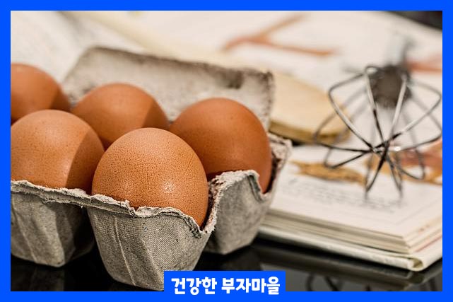 계란