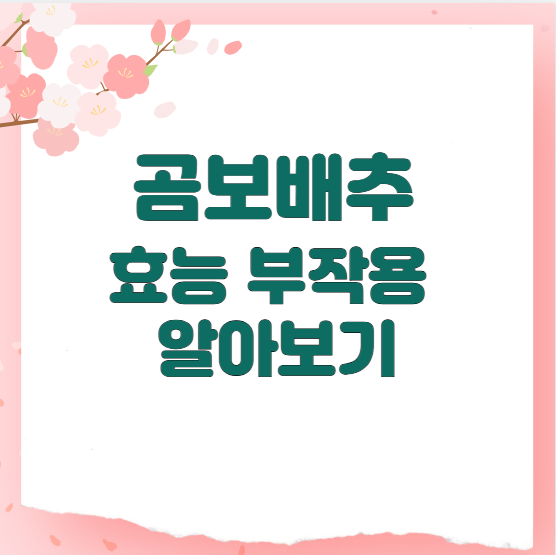 곰보배추 효능 부작용 알아보기