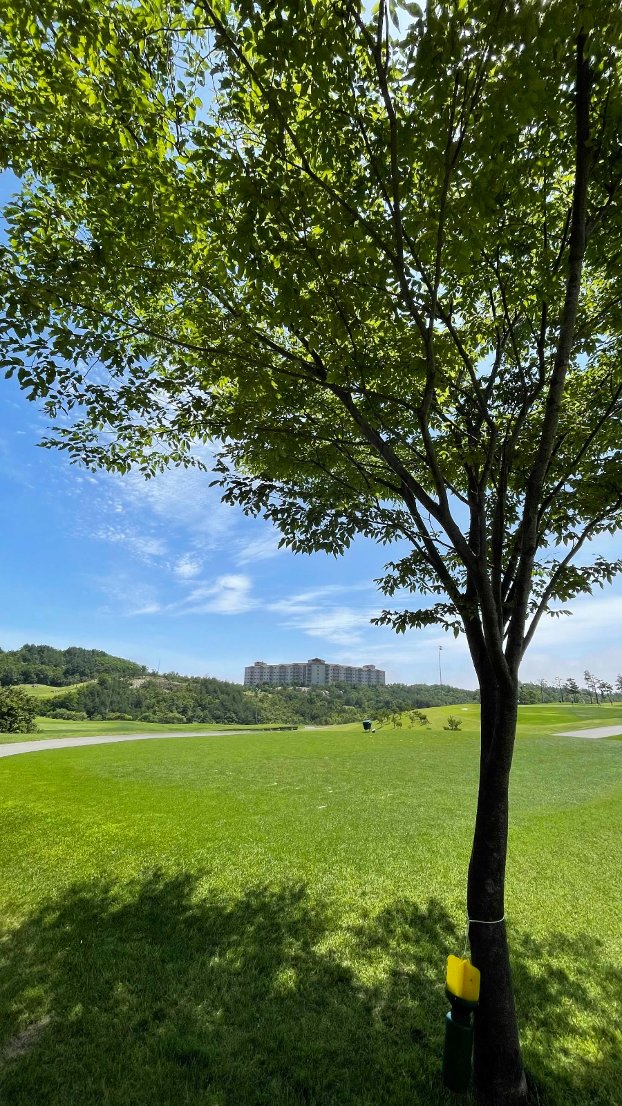 설악썬밸리 골프클럽 골프장 풍경