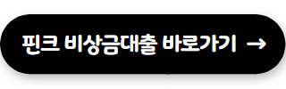 100만원 소액 대출 핀크 비상금대출