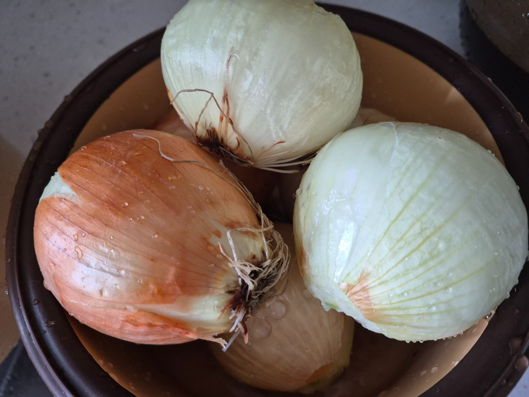 양파