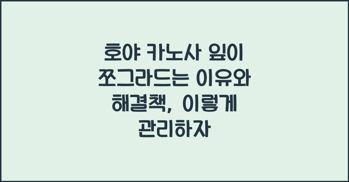호야 카노사 잎이 쪼그라드는 이유와 해결책