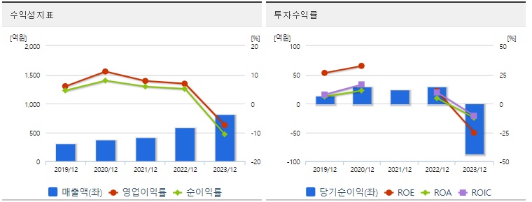 뷰티스킨 주가 수익성