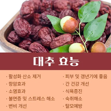 대추 효능