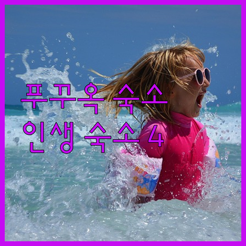 베트남 푸꾸옥 자유여행 북부와 시내 ..